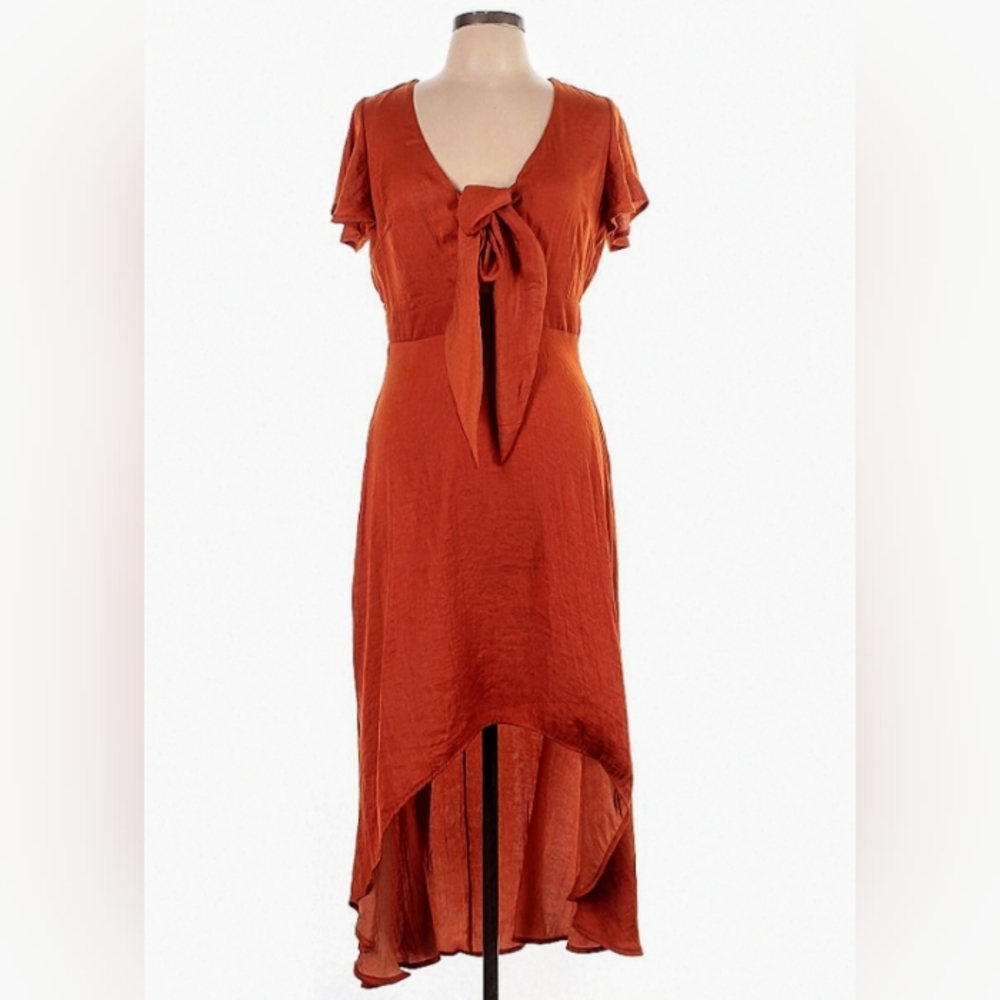 🍁🍂 Blue Rain Size L Rust High-Low Ruffle Dress - Picture 2 of 16